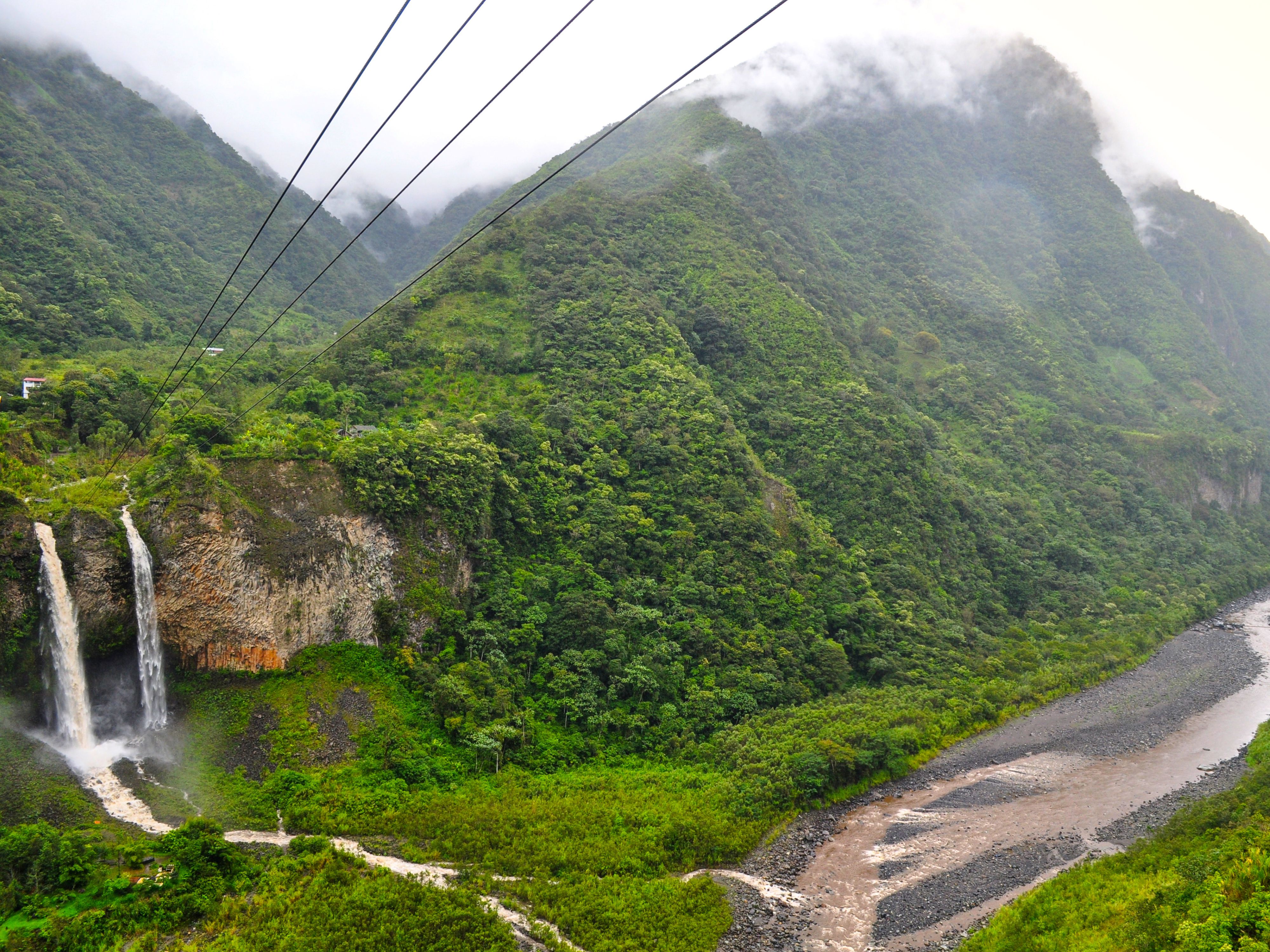 Carbon Offset Programs